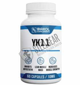 YK 11