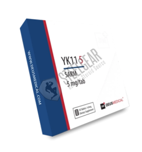 YK 11 
