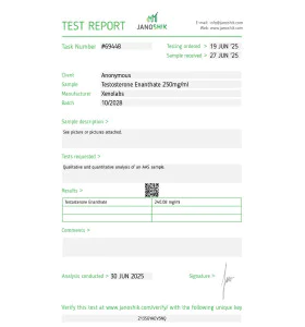 Test/E 250 mg 10 ml Xeno US