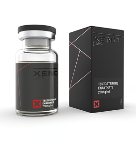 Test/E 250 mg 10 ml Xeno US