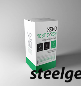 TESTOSTERONE ENANTHATE 250 Mg 10 ML - XENO LABS